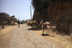 Excursão Terrestre, Santo Antão, Dia Inteiro, Destaques de carro