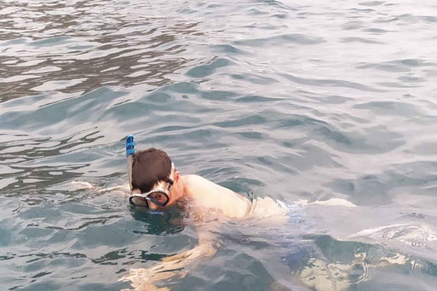 Esnórquel con tortugas