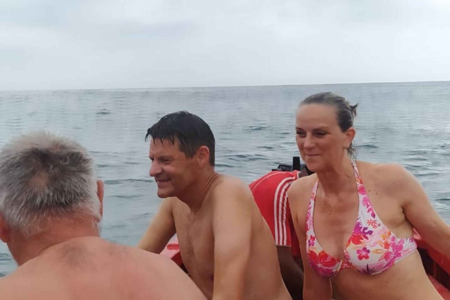 Esnórquel con tortugas