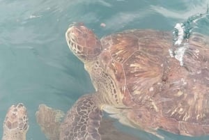 Snorkeling with Turtles