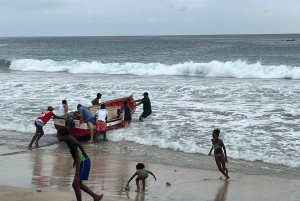 Esnórquel con tortugas