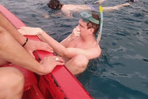 Esnórquel con tortugas