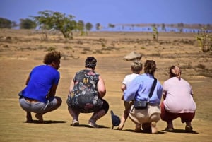 Plongée en apnée, visite de l'île, visite des tortues, catamaran, pêche