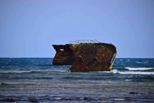 Snorkel, excursión a la isla, excursión a las tortugas, catamarán, pesca