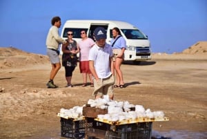 Plongée en apnée, visite de l'île, visite des tortues, catamaran, pêche