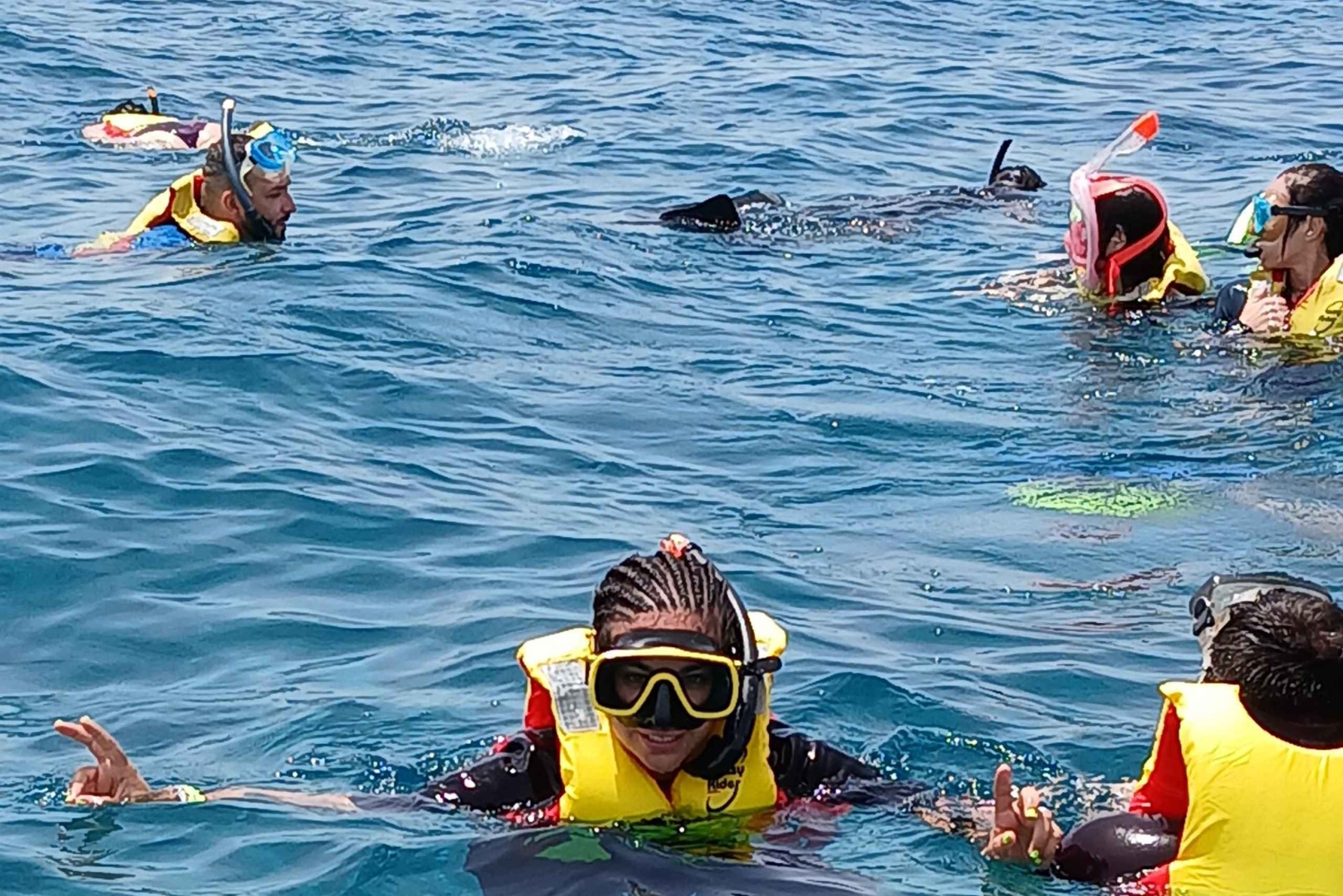 Snorkling med certifikat och lokal guide.