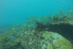 Excursión de snorkel con guía local certificado.