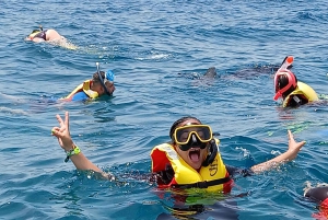 Snorkling med certifikat och lokal guide.