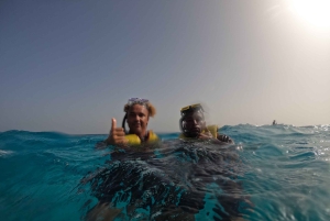 Snorkling med certifikat och lokal guide.