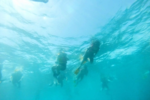 Snorkling med certifikat och lokal guide.