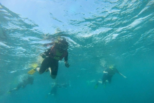 Snorkling med certifikat och lokal guide.