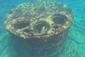 Snorkling med certifikat och lokal guide.