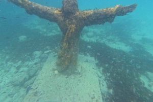 Snorkling med certifikat och lokal guide.