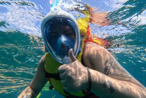 Snorkling med certifikat och lokal guide.