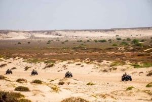 South of Boa Vista Adventure: Explore the Desert by Quad