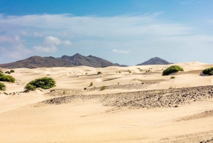 Half Day 4x4 Tour with Viana Desert and Villages