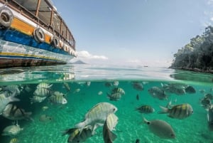 Tarrafal: Bådtur med snorkling