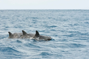 Tarrafal: Båttur med snorkling