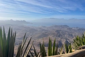 Tea House Visit, Monte Verde