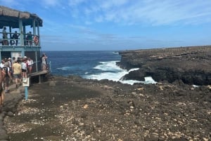 Den bästa privata rundturen på Sal Island