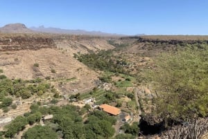 Private Tour Cidade Velha/Discover OLD CITY