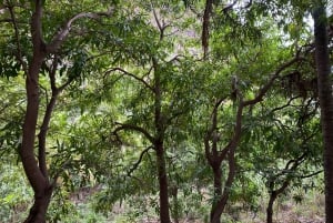 Private Tour Cidade Velha/Discover OLD CITY