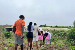 Cours de cuisine traditionnelle