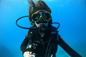 Try Scuba Diving (Intro dive)