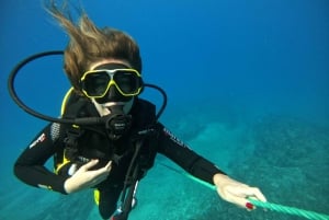 Try Scuba Diving (Intro dive)