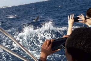 Oförglömlig halvdagsuthyrning av båt - Sal Island, Kap Verde