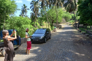 Visita a Santiago: giornata intera con autista privato