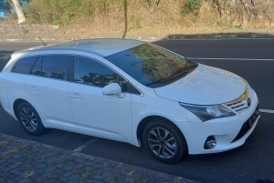 Visita a Santiago: giornata intera con autista privato