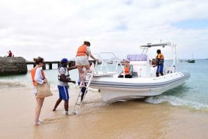 Whale Watching Boa Vista, Speed Boat & Small Groups