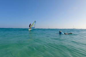 Leksjoner i vindsurfing