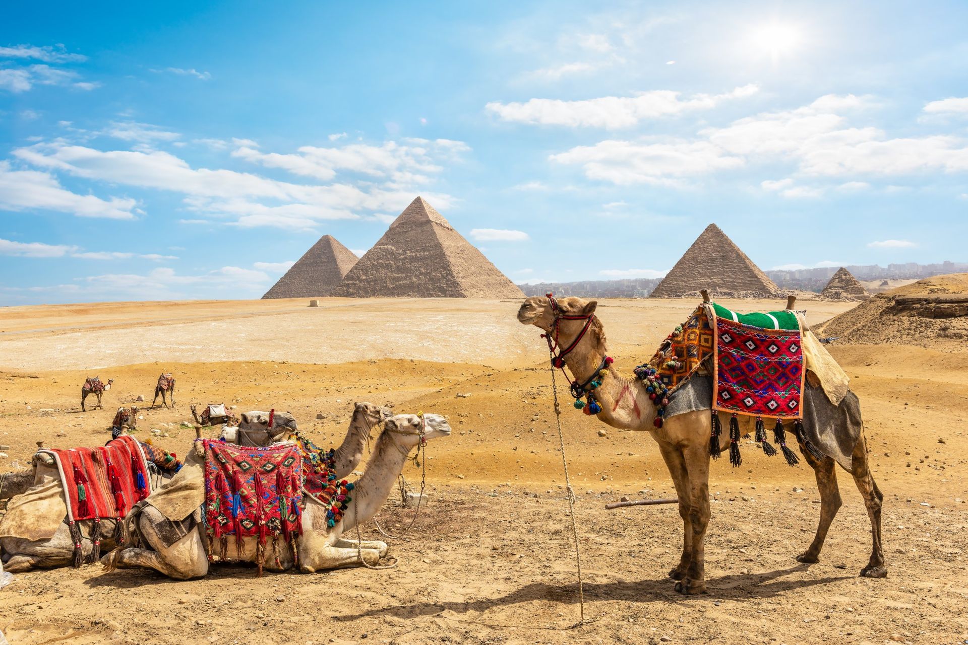 Cairo