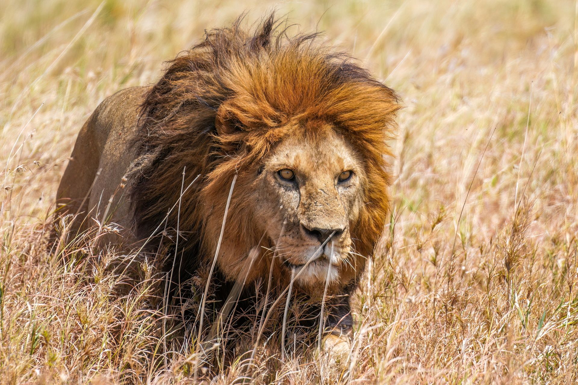 Tanzania