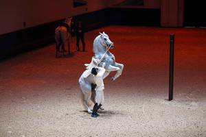 Abu Dhabi Royal Equestrian Arts – Biljetter till showen
