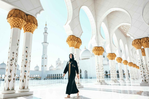Abu Dhabi Walking Tour: Sheikh Zayed Mosque & Library