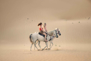Al Shahama: Desert Horseback Riding Adventure