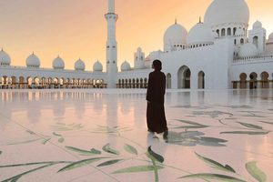 Dubai: Abu Dhabi Mosque and Ferrari World Tour with Tickets