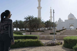 Dubai: Sheikh Zayed-moskeen og SeaWorld med transport