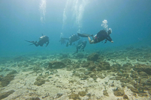 Da Abu Dhabi: 2 immersioni per subacquei certificati con trasferimento