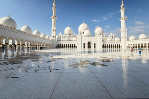 Fra Dubai: Heldagstur til Abu Dhabi med besøg i stormoskéen