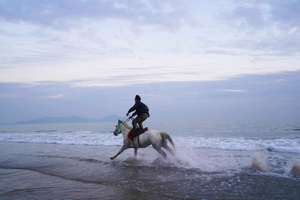 Peaceful Beach Horseback Ride Experience