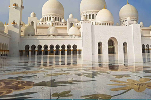Visite citadine privée d'Abou Dabi depuis Dubaï et mosquée Cheikh Zayed