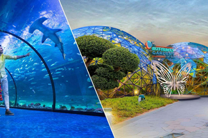 The Butterfly Gardens+ National Aquarium
