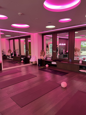 Believe Your Body Wellness L.L.C.