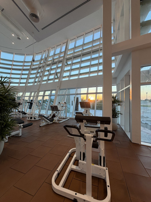 THE BRIDGE | Wellness Hub