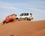 Cose Uniche da Fare nella Città di Abu Dhabi - Top Dieci