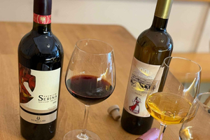 Berat: Cata de vino con aperitivos en un bar gestionado por jóvenes